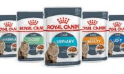 רויאל קנין לחתולים - פאוץ' במגוון טעמים 85 גרם Royal Canin